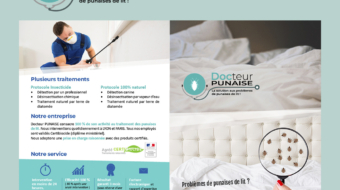 Brochure-Docteur-Punaise