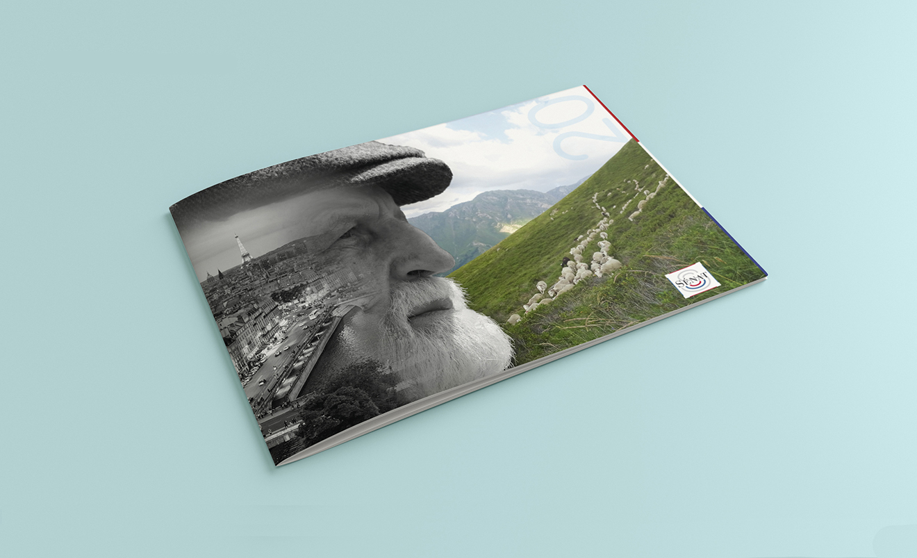 Mockups Design
